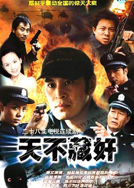 天不藏奸第1集