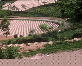 山乡书记
